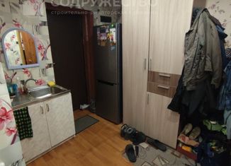 Продается двухкомнатная квартира, 24.1 м2, Бор, улица Чугунова, 13