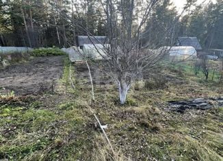 Продажа дома, 24 м2, СНТ № 14, Ягодная улица