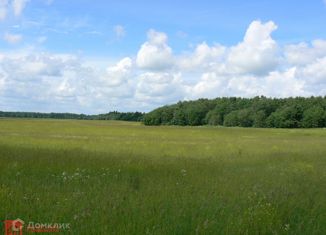 Продажа земельного участка, 118 сот., деревня Греблово