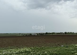 Продаю земельный участок, 622.2 сот., Полтавское сельское поселение