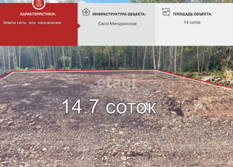 Продам земельный участок, 14 сот., село Мичуринское, Центральная улица