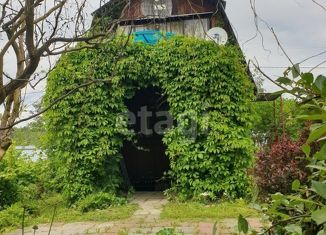 Продам дом, 37.9 м2, деревня Еловка