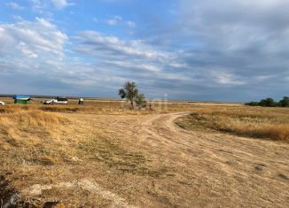 Продаю участок, 759.5 сот., Окунёвское сельское поселение