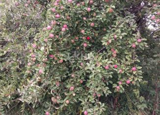 Продаю земельный участок, 10 сот., село Кишкино, Пришкольная улица, 18