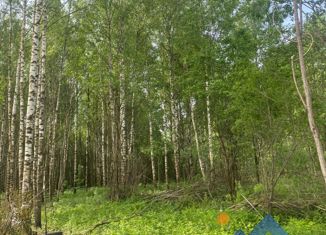 Продается земельный участок, 40 сот., деревня Лобаниха