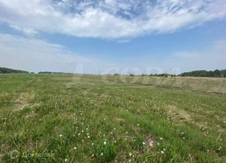 Участок на продажу, 10 сот., деревня Коняшина