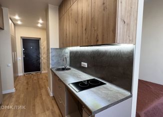 Продам квартиру студию, 32.1 м2, Новосибирск, метро Площадь Ленина, Красный проспект