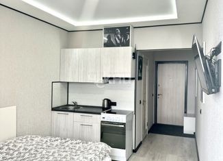 Продам квартиру студию, 19 м2, деревня Афонино, улица Красная Поляна, 4