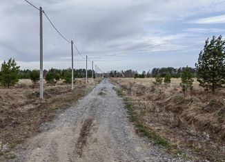 Продаю земельный участок, 10 сот., садоводческое товарищество Полиграфист