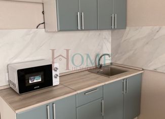 Сдаю в аренду 1-ком. квартиру, 32 м2, Новосибирск, улица Костычева, 40/3, улица Костычева