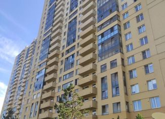 Продаю 2-комнатную квартиру, 56 м2, Санкт-Петербург, Антокольский переулок, 4к1, Антокольский переулок