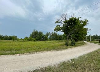 Продам участок, 25 сот., село Турово