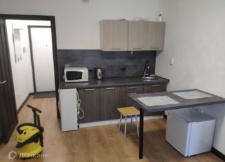 Сдаю квартиру студию, 21.25 м2, Мурино, Ручьёвский проспект, 2, ЖК Авиатор