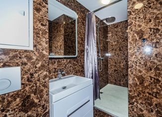 Продается квартира студия, 28.1 м2, Новосибирск, Покатная улица, 130/1, Покатная улица