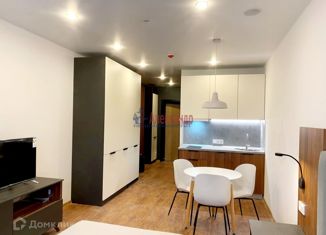 Продам квартиру студию, 28.6 м2, Санкт-Петербург, 2-й Муринский проспект, 36, 2-й Муринский проспект