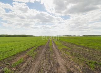 Продаю участок, 9.5 сот., село Горьковка, Сибирская улица