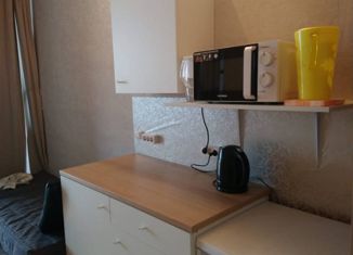 Продам однокомнатную квартиру, 28 м2, Сочи, улица Гастелло, 27Б, Адлер