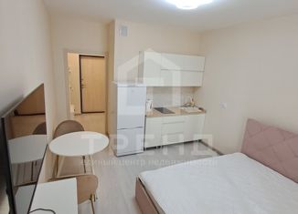 Продается квартира студия, 21.4 м2, Санкт-Петербург, Русановская улица, 24