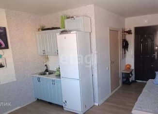 Продается квартира студия, 26 м2, посёлок Красное Поле, улица Авиаторов, 5А