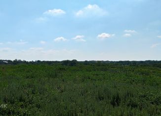 Продажа земельного участка, 10 сот., поселок Нижнесакмарский, улица Менделеева