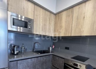 Сдается двухкомнатная квартира, 50 м2, Новосибирск, Народная улица, 9, Калининский район