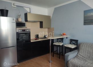 Квартира на продажу студия, 24.1 м2, Екатеринбург, улица 40-летия Комсомола, 32Г, ЖК Олимп