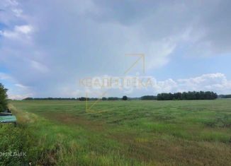 Продам дом, 400 м2, село Ленинское, Тепличная улица