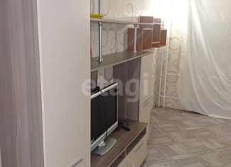 Продаю 2-ком. квартиру, 41.7 м2, посёлок Берёзовый, улица Ивана Кулибина, 2, ЖК Прогресс