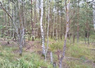 Продаю участок, 15 сот., садоводческое товарищество Юпитер