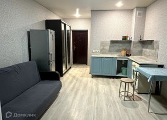 Продам квартиру студию, 25.7 м2, посёлок Российский, улица Атамана Бабыча, 11