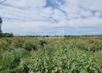 Продаю земельный участок, 8 сот., деревня Медовка, Центральная улица