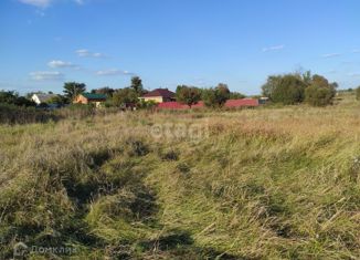 Продам земельный участок, 41 сот., село Беломестное, Набережная улица, 8