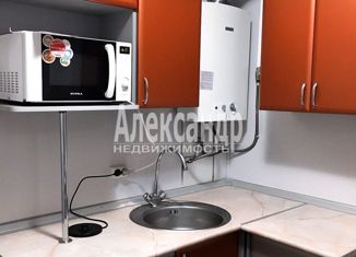 Сдам в аренду 2-комнатную квартиру, 45 м2, Санкт-Петербург, Алтайская улица, 33, Алтайская улица