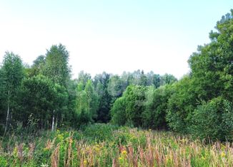 Участок на продажу, 16 сот., деревня Животинки, 1-я Благодатная улица