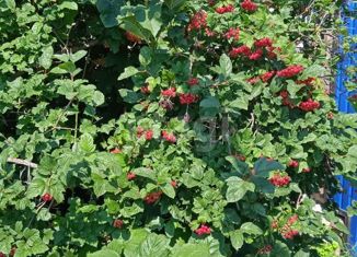 Продаю дом, 50 м2, Новый Оскол