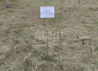 Земельный участок на продажу, 15 сот., коттеджный посёлок Теренкуль, 1-я Лесная улица