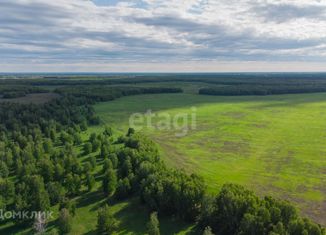 Продажа земельного участка, 9.3 сот., село Каменка, Школьная улица