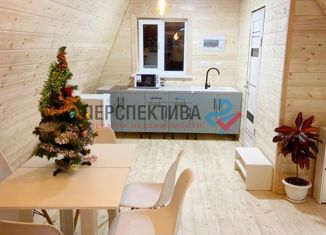 Продаю дом, 65 м2, деревня Новоскаковское