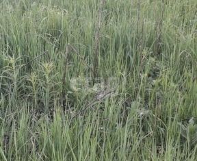 Продается земельный участок, 10.14 сот., деревня Редькино