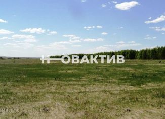 Продаю земельный участок, 4500 сот., Чулым, улица Стаханова, 27В