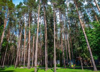 Продаю участок, 20 сот., село Петрово-Дальнее