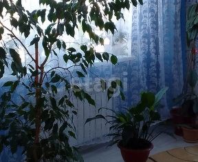 Продам дом, 100 м2, деревня Речкалова, Кольцевая улица, 3