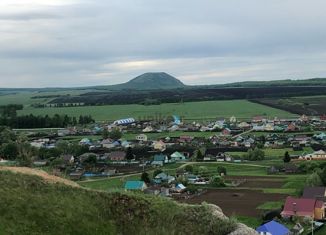 Земельный участок на продажу, 19.6 сот., село Ишеево, улица Дружбы, 12