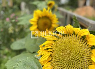 Продам земельный участок, 11.52 сот., поселок Губачево