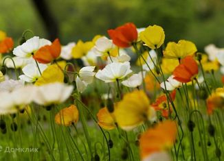 Продам земельный участок, 18 сот., садовое товарищество Торошинка