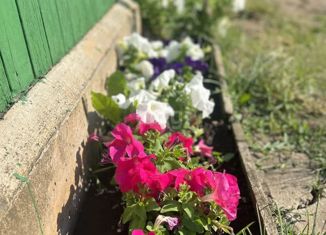 Продажа дома, 60 м2, СНТ Тополя