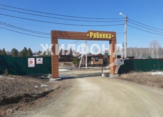 Продам земельный участок, 12 сот., ДНТ Рябинка, Пихтовая улица