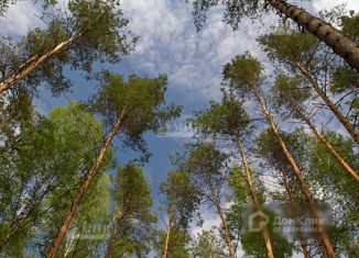 Продаю земельный участок, 192 сот., деревня Чесноково, улица Радуга, 71