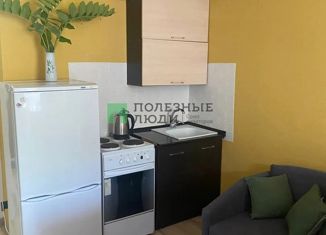 Продажа квартиры студии, 22 м2, Ижевск, улица А.Н. Сабурова, 17, Восточный жилой район