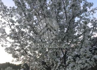 Продам дом, 37 м2, поселок Михайловский, садовое некоммерческое товарищество Север-1, 221